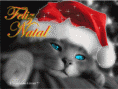 Gato de Natal