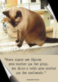 /album/gifs-com-mensagens/gato2-png/